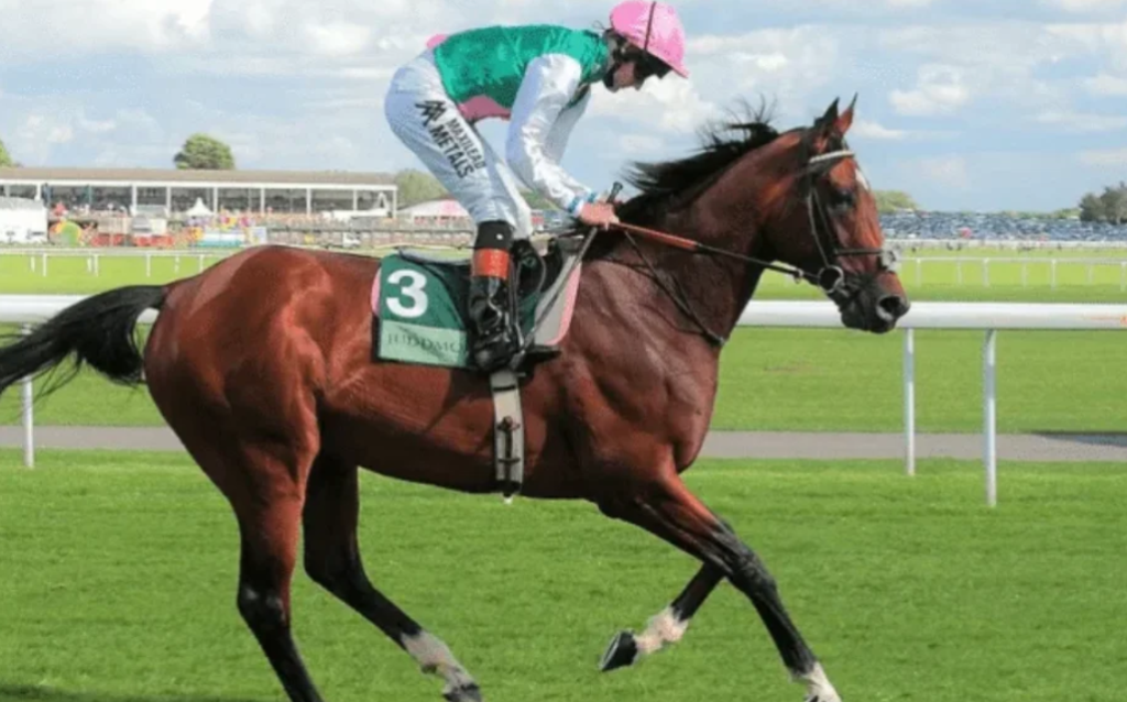 Expert du turf || expertduturf